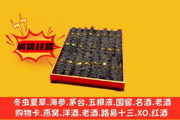 河源源城区回收海参